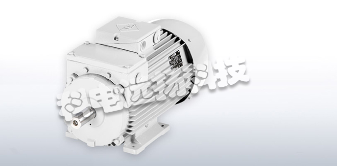 VEM電動機_德國VEM電動機特征