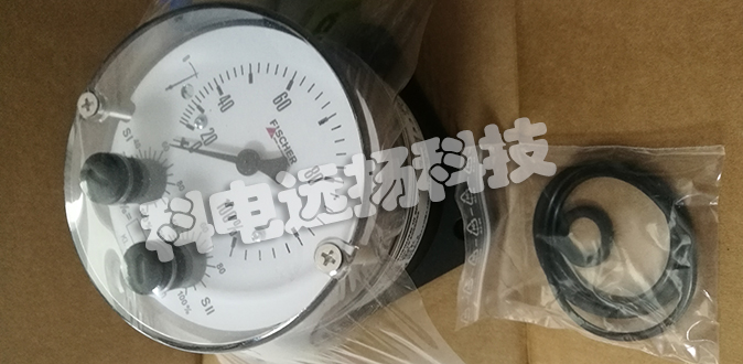 德國FISCHER壓力開(kāi)關(guān)DS21