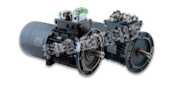 NERI MOTORI電機,意大利NERI MOTORI,意大利電機,NERI MOTORI型號,NERI MOTORI電機型號