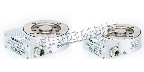 STRAINSERT傳感器,STRAINSERT稱重傳感器,美國STRAINSERT,美國稱重傳感器,STRAINSERT技術(shù)手冊,STRAINSERT稱重傳感器技術(shù)手冊