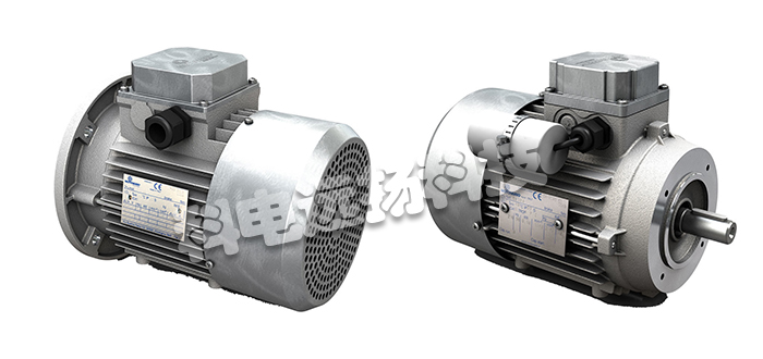 MOTOVARIO電機(jī),意大利電機(jī),MOTOVARIO電機(jī)特性,意大利MOTOVARIO電機(jī),意大利MOTOVARIO